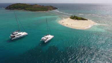 Bvi launches new web site