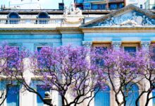 Buenos aires travels hitchhiker