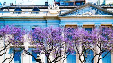 Buenos aires travels hitchhiker