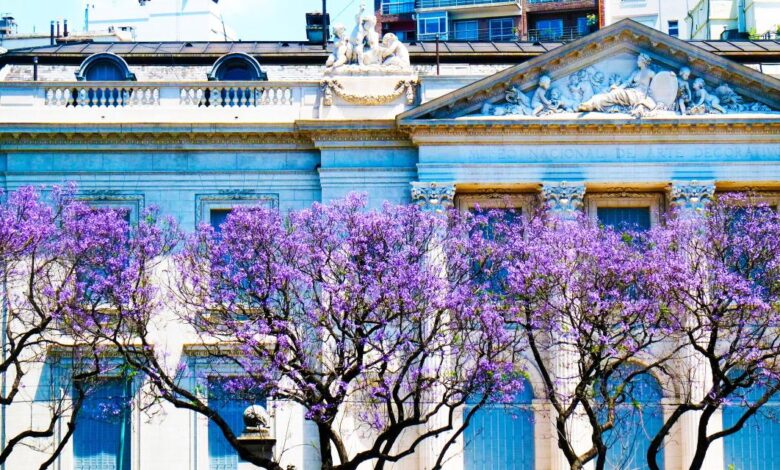 Buenos aires travels hitchhiker