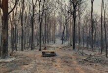 Australia tourism reaches out to us during bushfire crisis