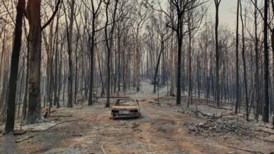 Australia tourism reaches out to us during bushfire crisis