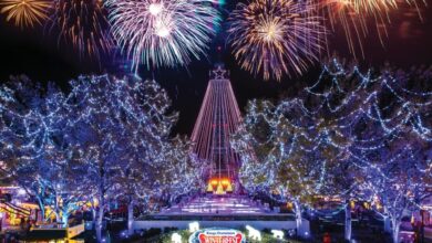 Carnival rings in new year