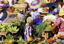 Caribbean marketplace kicks off jan 15