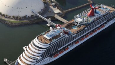 Carnival corp earnings up 20 1 for quarter to 353m