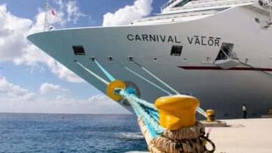 Carnival bookings continue rise