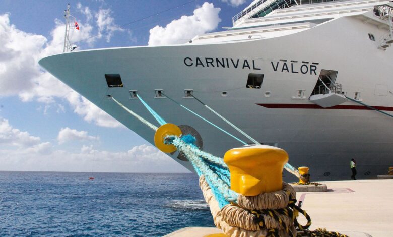 Carnival bookings continue rise