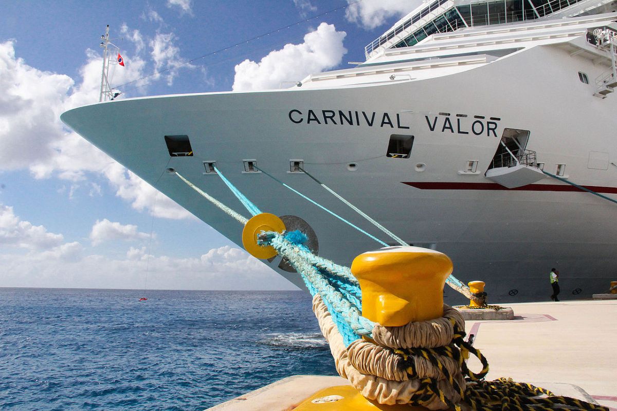 Carnival bookings continue rise