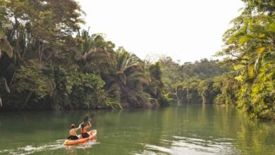 Belize ecoluxury copal tree lodge