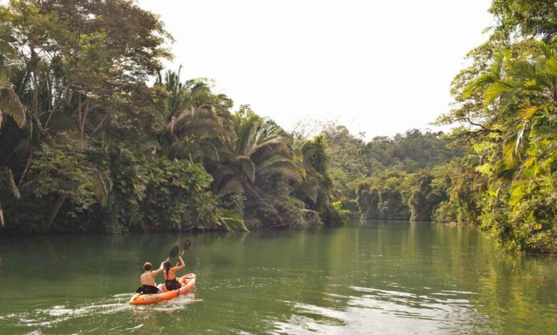 Belize ecoluxury copal tree lodge