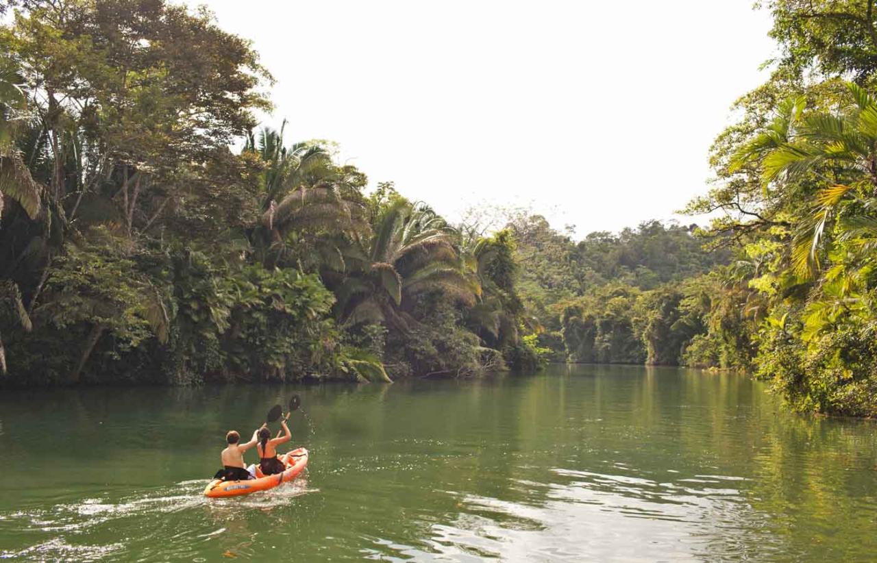 Belize ecoluxury copal tree lodge