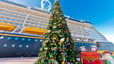 Avalon adds more christmas cruises