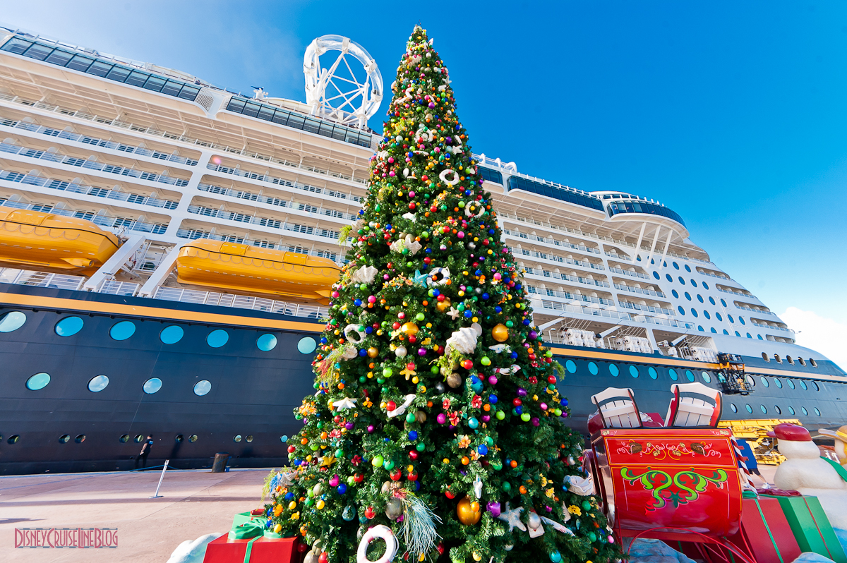 Avalon adds more christmas cruises