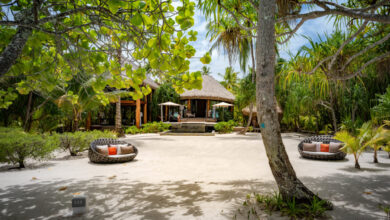 Brando s private island to be home to ecoresort