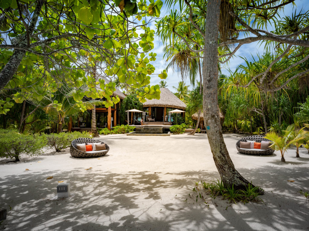 Brando s private island to be home to ecoresort