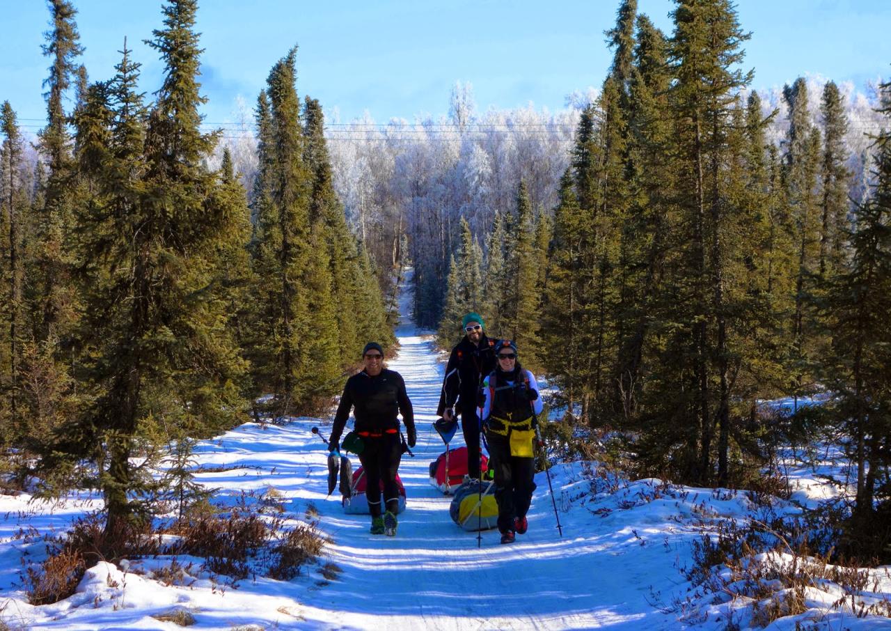 Along the iditarod trail