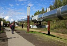 Alaska pipeline locals seek slice of cruise pie