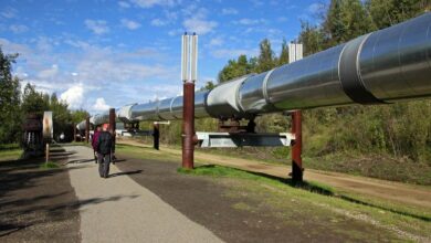 Alaska pipeline locals seek slice of cruise pie