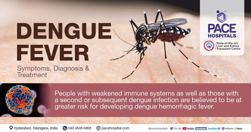 Dengue cases total nation