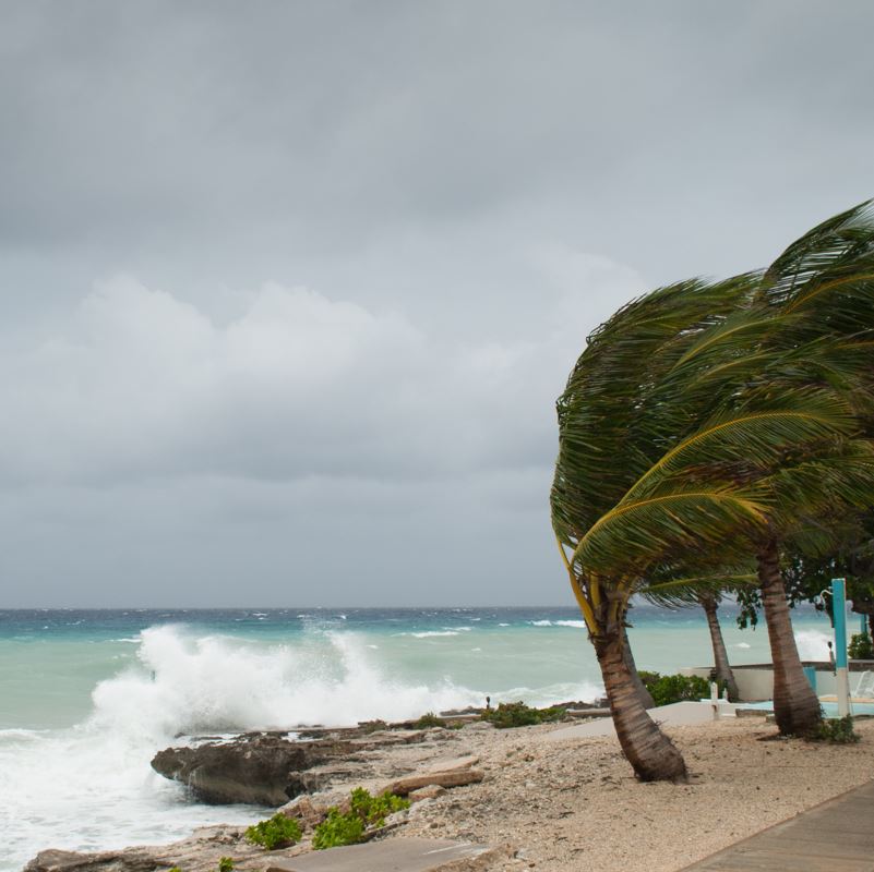 Beach restoration project continues in dominican republic