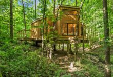 Bodyholiday resort to open tree house studio