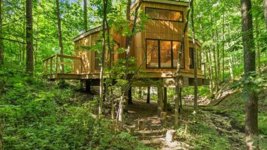 Bodyholiday resort to open tree house studio