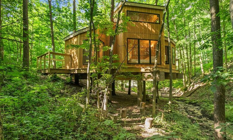 Bodyholiday resort to open tree house studio