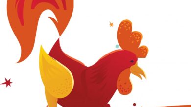 Assessing good bad fortunes in year of the fire rooster