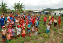 Carnival temporary commission boost aims to inspire agents