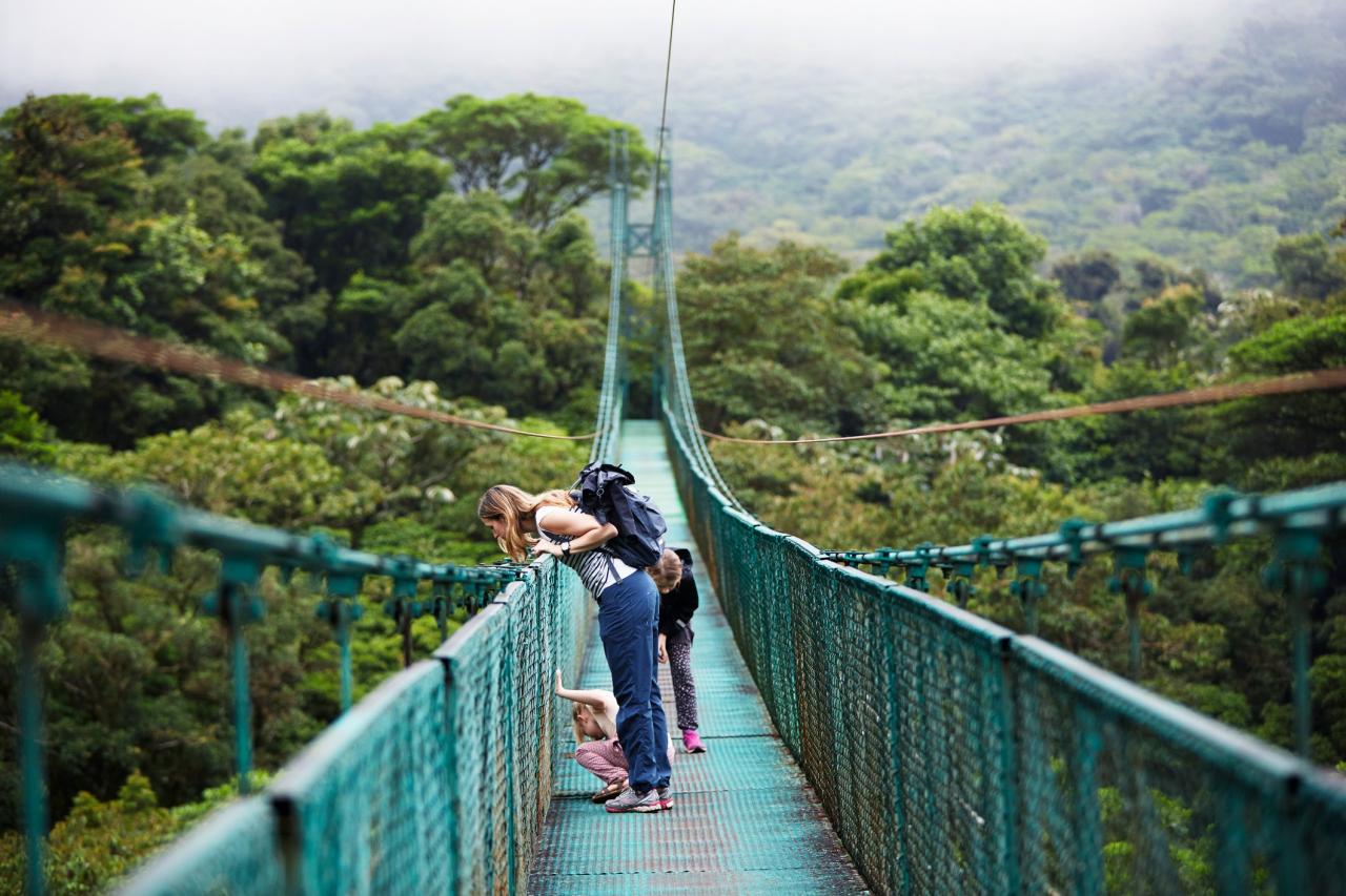 Tour zipline mountains smoky tennessee gatlinburg ziplining forge pigeon adventure costa rica tours weight water