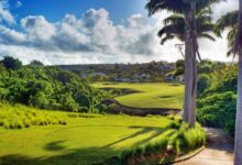 Barbados beauty on land sea