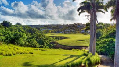 Barbados beauty on land sea