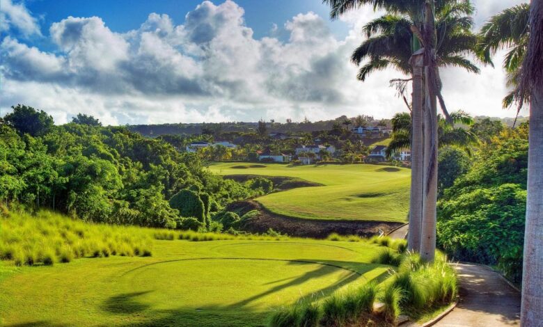 Barbados beauty on land sea