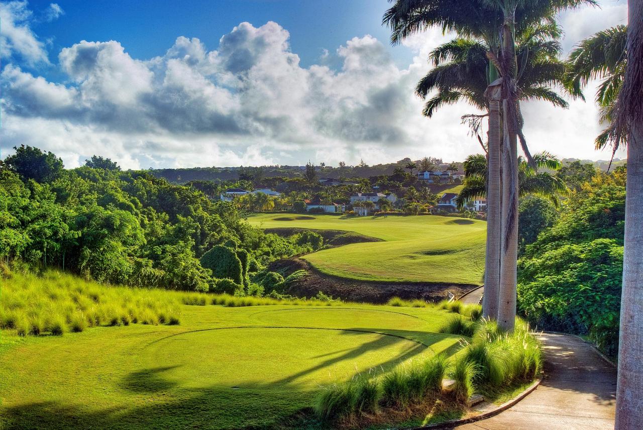 Barbados beauty on land sea