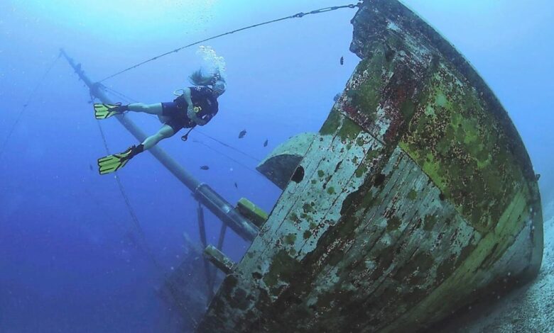 Bonaire harbour village beach club fabian cousteau partner ocean conservation efforts