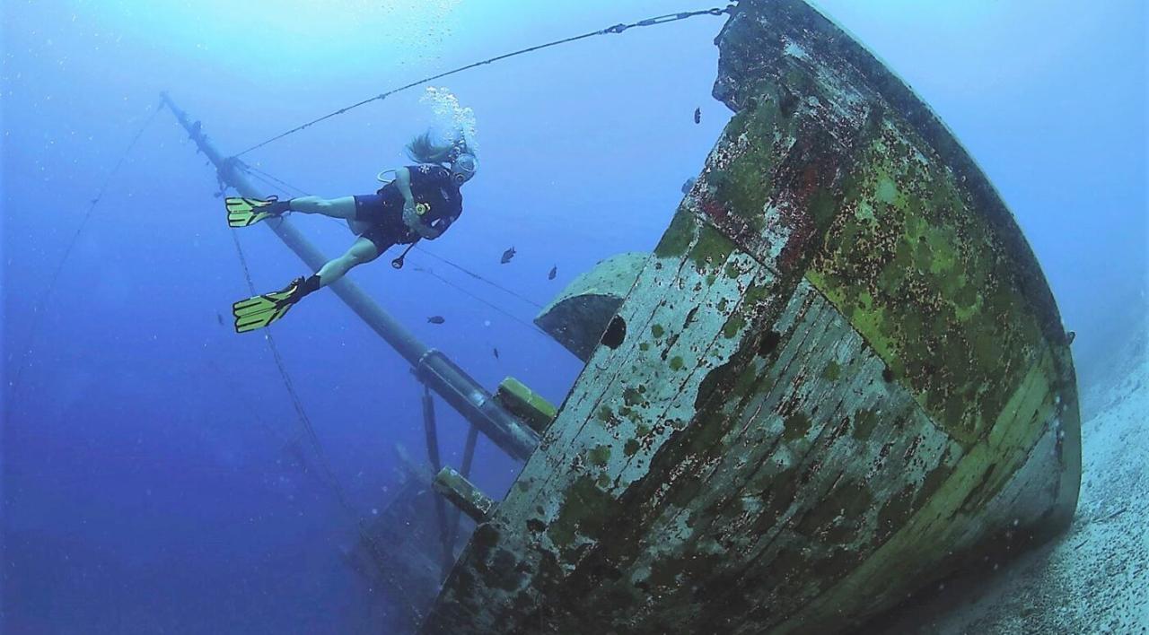 Bonaire harbour village beach club fabian cousteau partner ocean conservation efforts