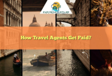 Agents earn bonus pay travel credits on american safari sailings