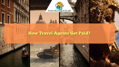 Agents earn bonus pay travel credits on american safari sailings