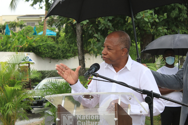 Barbados concedes protesters cautious but gov redman president mary