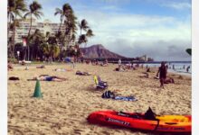 Attractions resort activities take families beyond beach hawaii