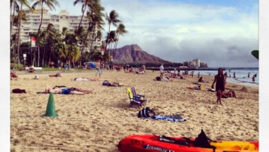 Attractions resort activities take families beyond beach hawaii