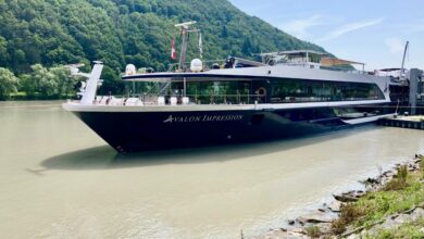 Avalon waterways launches niche cruises