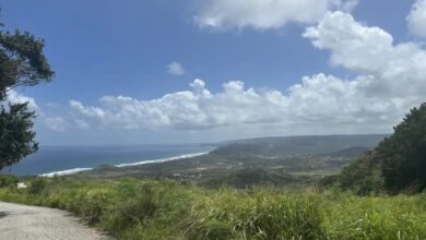 Barbados teams up with new york mets to promote destination