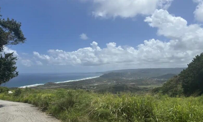 Barbados teams up with new york mets to promote destination