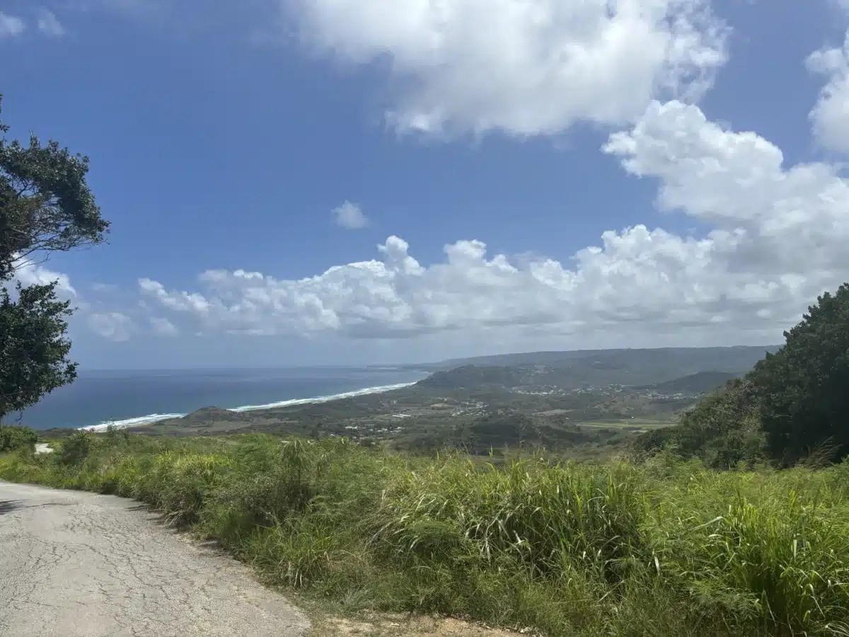 Barbados teams up with new york mets to promote destination