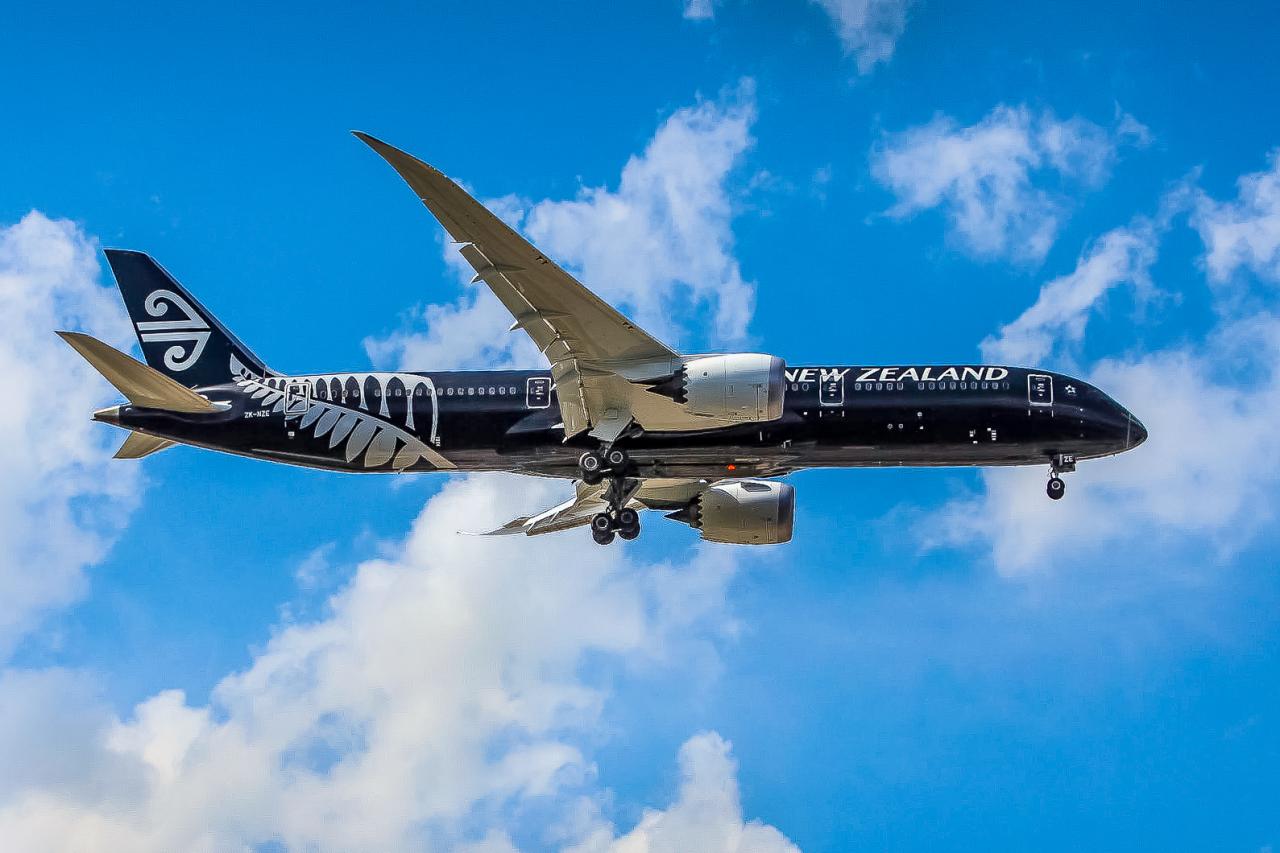 Air new zealand innovation in economy comfort