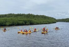 Beach restoration project continues in dominican republic