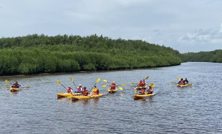 Beach restoration project continues in dominican republic