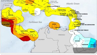 Climate caribbean 2020 january centre rainfall monthly sherika monitoring