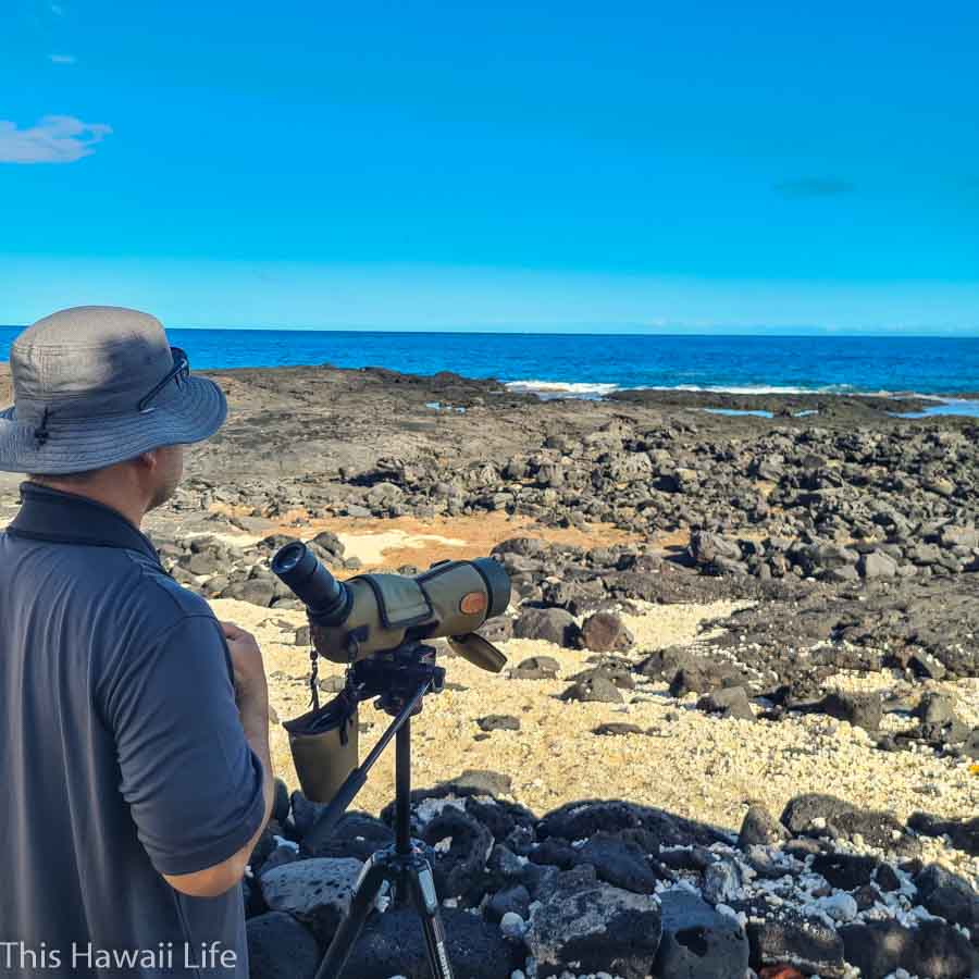 Across hawaii increasing interest ecofriendly initiatives